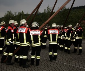 maibaum 2011 hgg