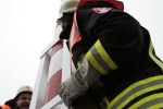 maibaum 2011 hgg