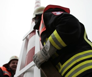 maibaum 2011 hgg