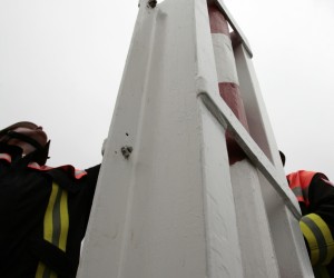 maibaum 2011 hgg