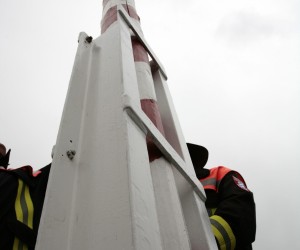 maibaum 2011 hgg