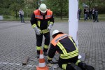 maibaum 2011 hgg