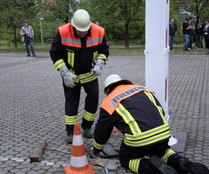 maibaum 2011 hgg