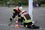 maibaum 2011 hgg