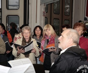 maibaum 2011 hgg