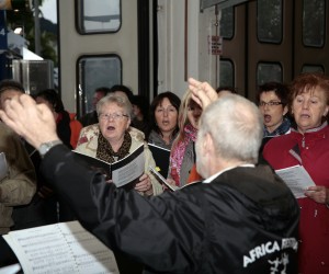 maibaum 2011 hgg