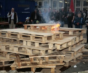 maibaum 2011 hgg