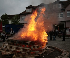 maibaum 2011 hgg