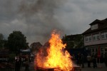 maibaum 2011 hgg