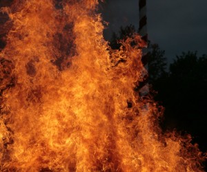 maibaum 2011 hgg