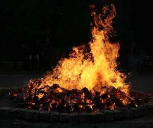 maibaum 2011 hgg