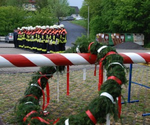 maibaum hd