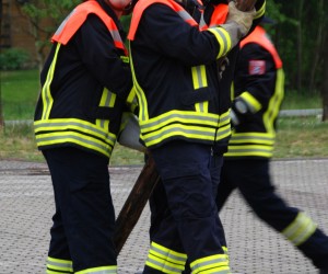 maibaum hd