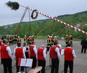 maibaum hd