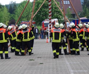 maibaum hd