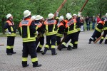 maibaum hd