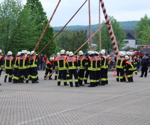 maibaum hd