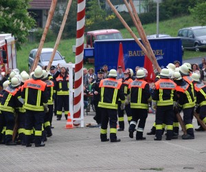 maibaum hd