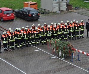 maibaum