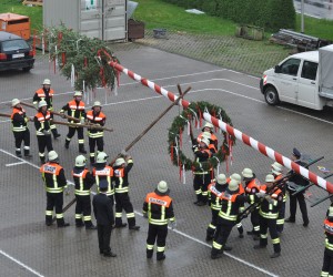 maibaum