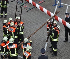 maibaum