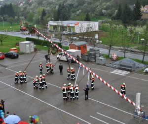 maibaum