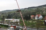 maibaum
