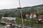 maibaum