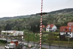 maibaum