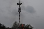 maibaum