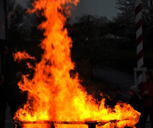maibaum