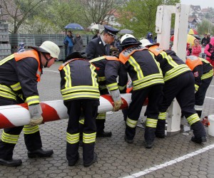 maibaum 2013