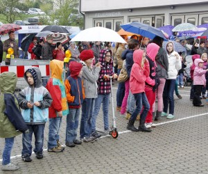 maibaum 2013