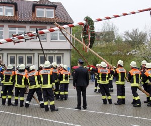 maibaum 2013