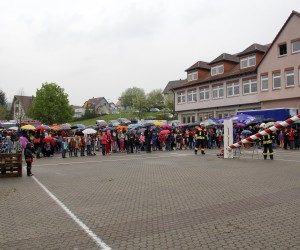 maibaum 2013