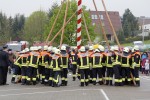 maibaum 2013