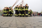 maibaum 2013