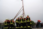 maibaum 2013