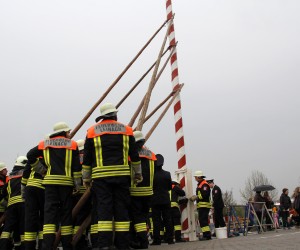 maibaum 2013