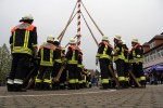 maibaum 2013