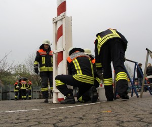 maibaum 2013