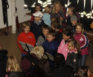 maibaum 2013