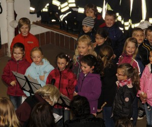 maibaum 2013
