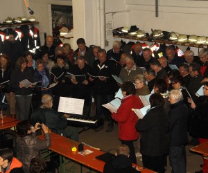 maibaum 2013