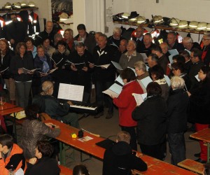 maibaum 2013