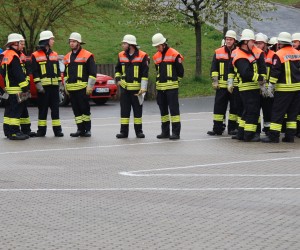 maibaum 2013