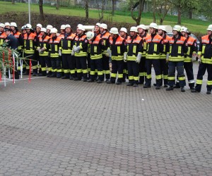 maibaum 2013