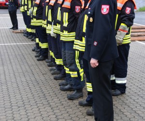 maibaum 2013
