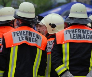 maibaum 2013