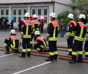 maibaum 2013